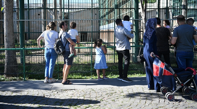 Hayvanat Bahçesi'nin Misafirlerine Bayramda Ziyaretçi Akını